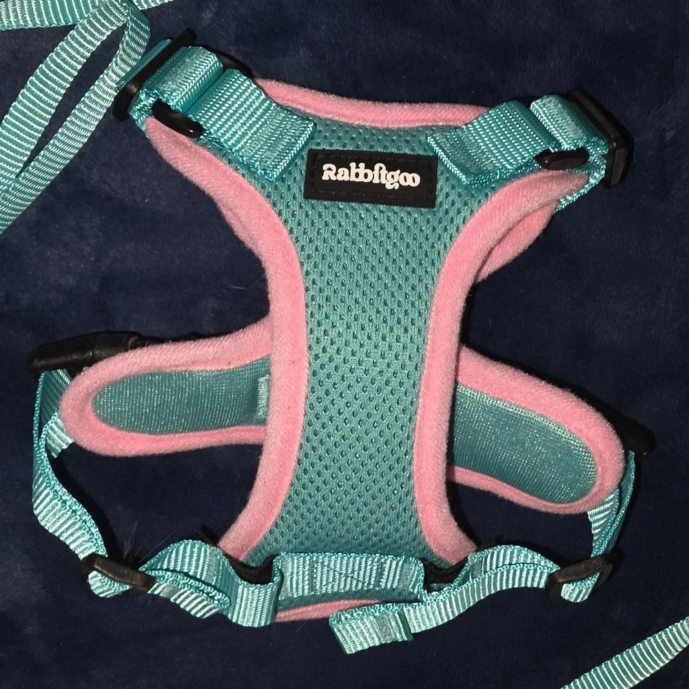 Rabbitgoo Cat Harness and Leash Set Green Pink XS Escape Proof Mesh Vest
